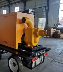 Fuel Pumps (Gas/Diesel)